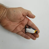 Ripley's Believe it or Not Penguin