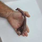 Jurassic Park Playfield Brachiosaurus