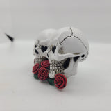 Dracula Playfield Skulls