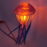 Fathom Playfield Interactive Jellyfish