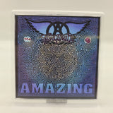 Aerosmith Playfield Album Plaque-Amazing
