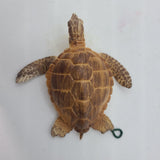 Baywatch Playfield Sea Turtles Set of Two