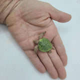 Baywatch Playfield Turtles (Pair)