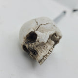 Elvira Jawless Skull Shooter Rod Bone