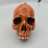 Elvira Jawless Skull Shooter Rod Orange