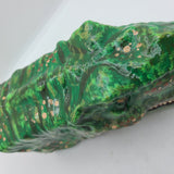 Jurassic Park T-Rex Makeover (Stern)