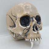 Metallica Remastered Speaker Skull Mod