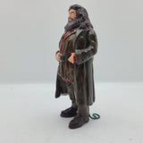 Harry Potter Playfield Hagrid & Fang