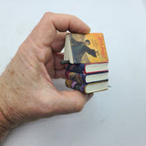 Harry Potter Playfield Stacked Books with Wand