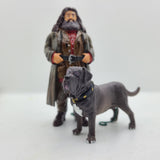 Harry Potter Playfield Hagrid & Fang