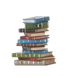 Ghostbusters Bookstacking mod Large