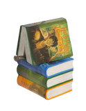 Harry Potter Playfield Stacked Books with Wand