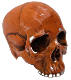 Elvira Jawless Skull Shooter Rod Orange