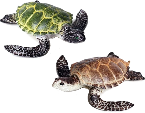 Baywatch Playfield Sea Turtles Set of Two