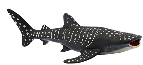 Baywatch Playfield Whale Shark
