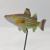 Fish Tales Playfield Fish Striped Bass