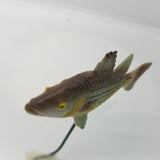 Fish Tales Playfield Fish Striped Bass