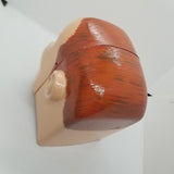 Funhouse Rudy  (Paint Job Only)