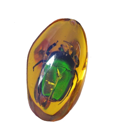 The Lost World Jurassic Park Playfield Amber "Beetle"