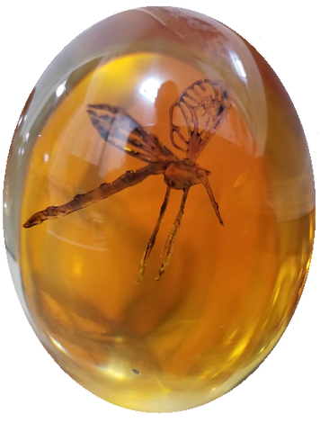 Jurassic Park "Amber with Mosquito" Shooter