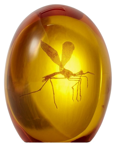 Jurassic Park "Amber with Mosquito" Shooter Large