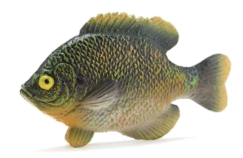 Fish Tales Playfield Fish Bluegill