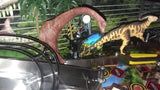 The Lost World Jurassic Park Playfield Parasaurolophus