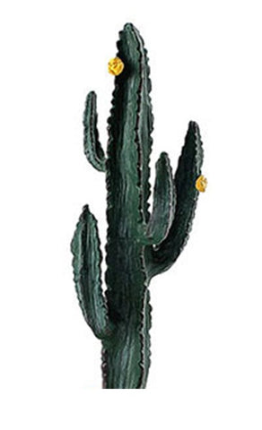Cactus Canyon Playfield Cactus Yellow Flower