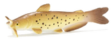 Fish Tales Playfield Fish Channel Catfish