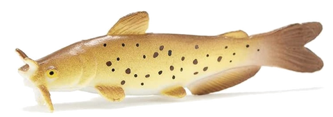 Fish Tales Playfield Fish Channel Catfish