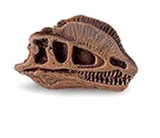 The Lost World Jurassic Park Dinosaur Skulls (set of 2)