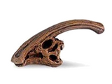 The Lost World Jurassic Park Dinosaur Skulls (set of 2)