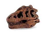 The Lost World Jurassic Park Dinosaur Skulls (set of 2)