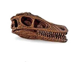 The Lost World Jurassic Park Dinosaur Skulls (set of 2)