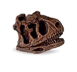 The Lost World Jurassic Park Dinosaur Skulls (set of 2)