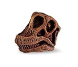 The Lost World Jurassic Park Dinosaur Skulls (set of 2)