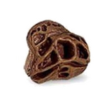 The Lost World Jurassic Park Dinosaur Skulls (set of 2)