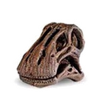 The Lost World Jurassic Park Dinosaur Skulls (set of 2)