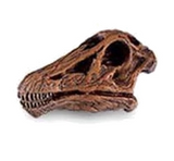 The Lost World Jurassic Park Dinosaur Skulls (set of 2)