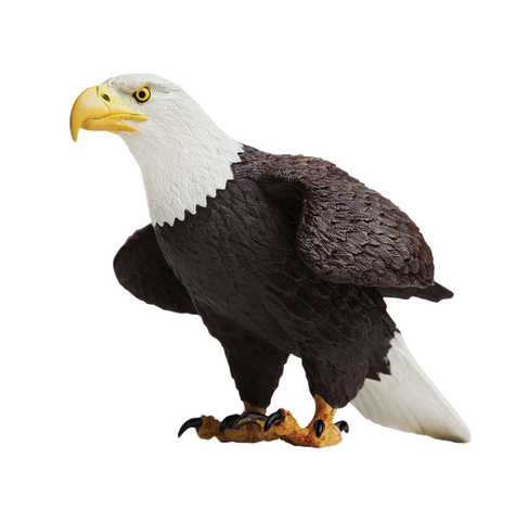 Harley Davidson Playfield Eagle