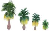 Indiana Jones Playfield "Fan" Palm Trees (set of 4)