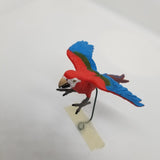 Congo Playfield Macaw