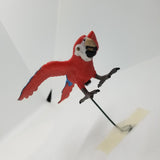 Congo Playfield Macaw