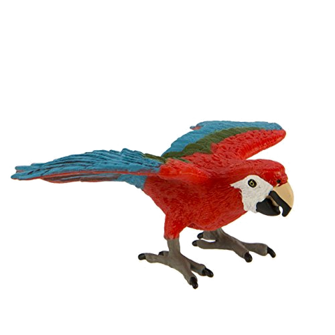 Congo Playfield Macaw