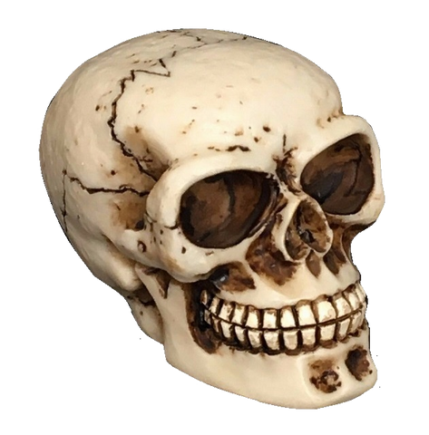 Elvira Skull Shooter Rod