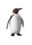 Ripley's Believe it or Not Penguin