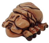 StarShip Troopers Custom Painted Plazma Bug