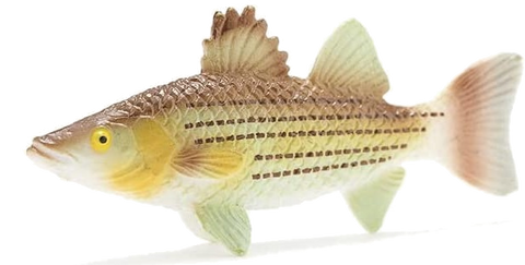 Fish Tales Playfield Fish Striped Bass