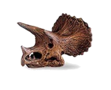 The Lost World Jurassic Park Dinosaur Skulls (set of 2)