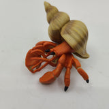 Baywatch Playfield Hermit Crab